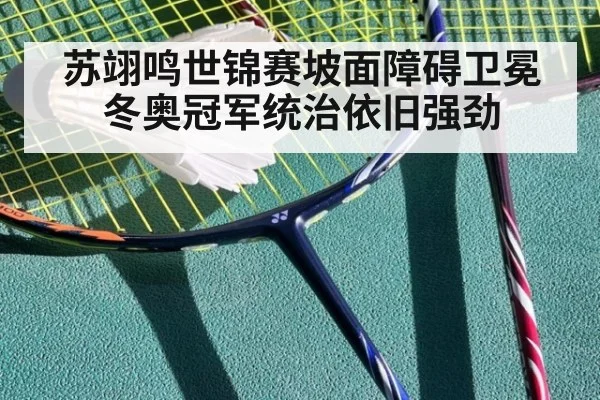 苏翊鸣世锦赛坡面障碍卫冕 冬奥冠军统治依旧强劲